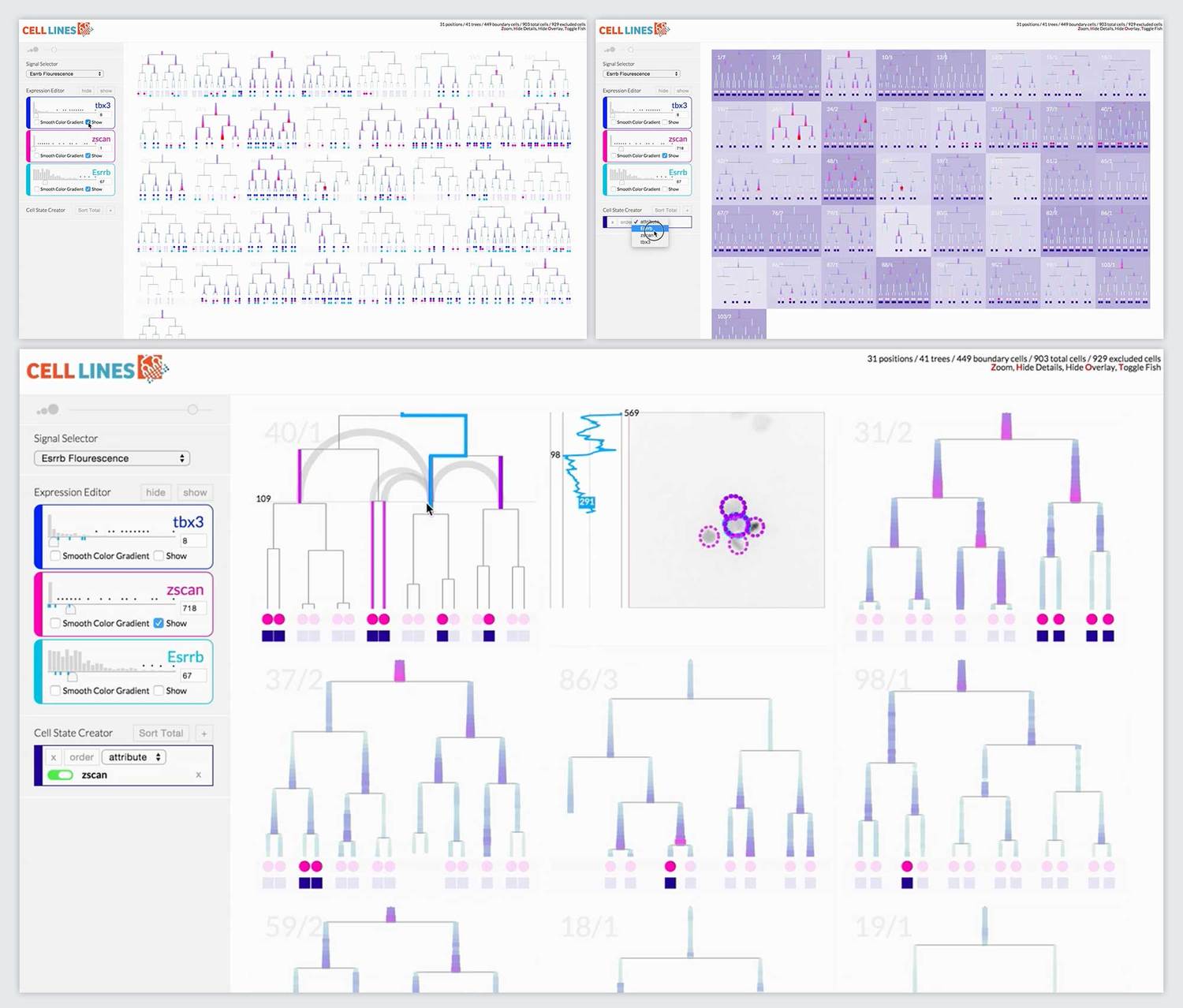 page/cell-process-ui-28751510c889c5b6dc220a6d6120cd3387688ce04514ee21195c1722a48800ac.jpg